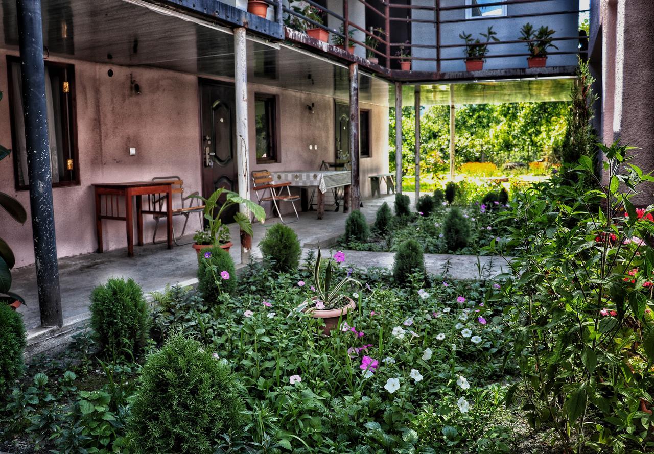The Kiwi House Hotel Lagodekhi Buitenkant foto